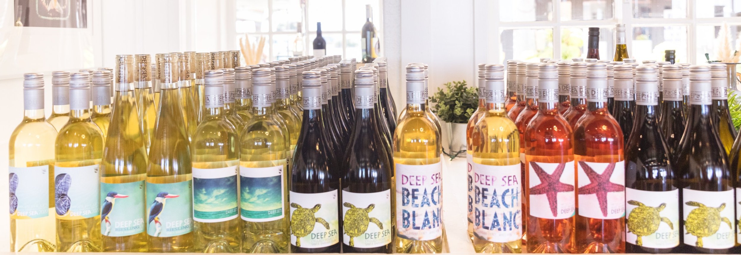 Conway Family Wines Banner